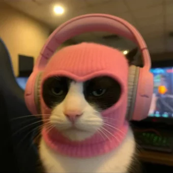 情头｜电竞小猫头像