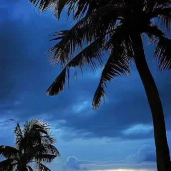 壁纸 | 手机高清锁屏壁纸