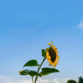 壁纸 | 手机高清锁屏壁纸