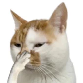 头像丨看你不爽头像