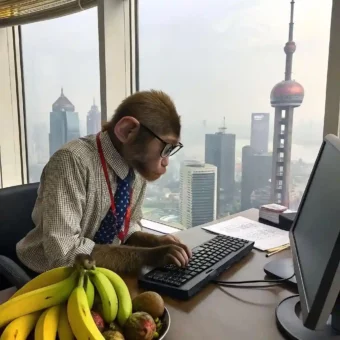 头像丨牛马打工专用头像