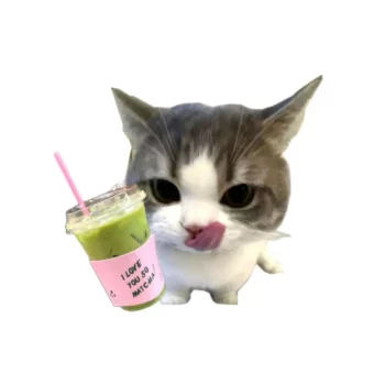 头像｜高清小猫头像