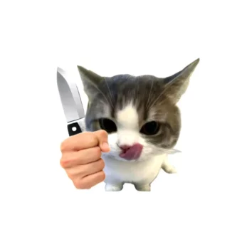 头像｜高清小猫头像