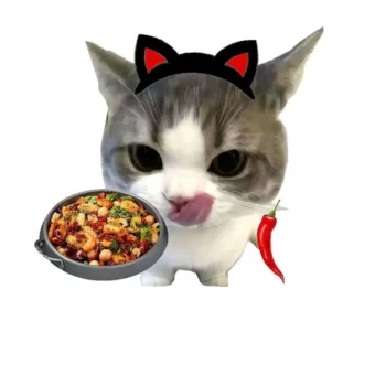 头像｜高清小猫头像