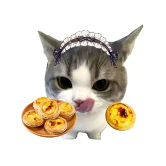 头像｜高清小猫头像
