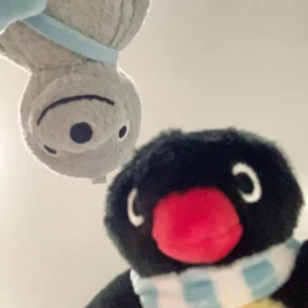 头像丨pingu萌萌头像