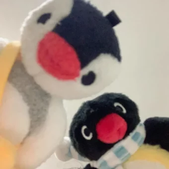 头像丨pingu萌萌头像