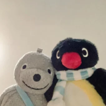 头像丨pingu萌萌头像