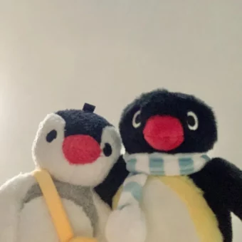 头像丨pingu萌萌头像