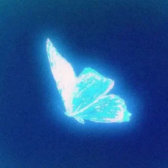 头像丨简约头像：蝴蝶