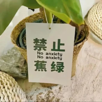 背景图 | 换上一张喜欢朋友圈背景图吧