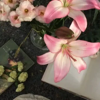 壁纸 ​​​​​​​​​​​​​| 手机壁纸8K超清画质