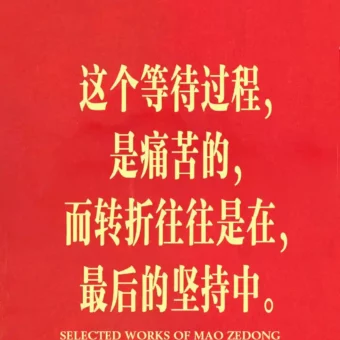 壁纸 ​​​​​​​​​​​​​| 手机壁纸8K超清画质