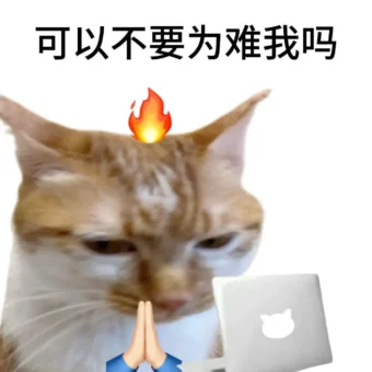 头像｜杂图40张