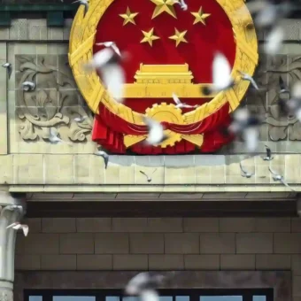 壁纸 ​​​​​​​​​​​​​| 手机壁纸8K超清画质