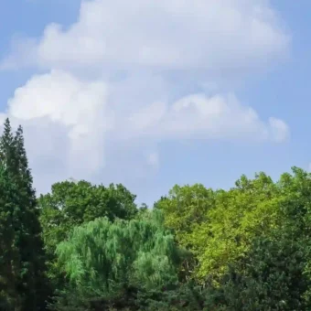 壁纸 | 山川湖海壁纸