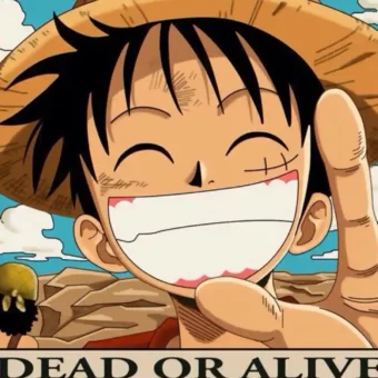 壁纸 | 海贼王壁纸