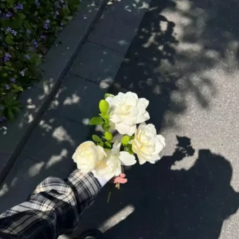 背景图 | 高级背景图