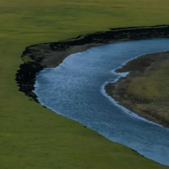 壁纸丨绿色生命力景深壁纸