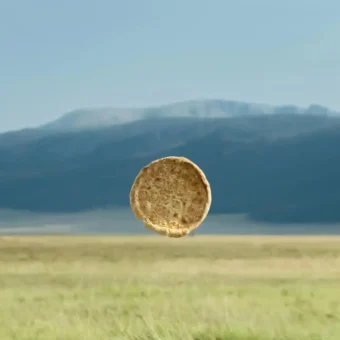 壁纸丨绿色生命力景深壁纸