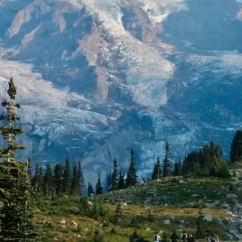 壁纸 ​​​​​​​​​​​​​| 4K全面屏超高清壁纸