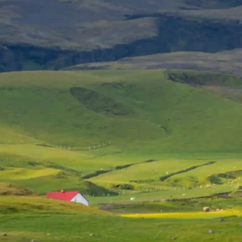 壁纸 ​​​​​​​​​​​​​| 4K全面屏超高清壁纸