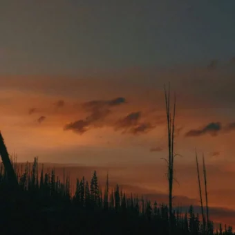 壁纸 ​​​​​​​​​​​​​| 4K全面屏超高清壁纸