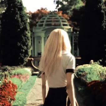 壁纸 | 一期自截iPad壁纸