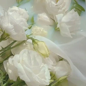 壁纸 ​​​​​​​​​​​​​| ios全屏手机壁纸