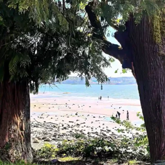 壁纸 ​​​​​​​​​​​​​| ios全屏手机壁纸