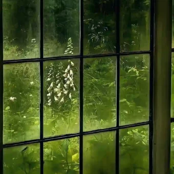 壁纸 ​​​​​​​​​​​​​| ios全屏手机壁纸