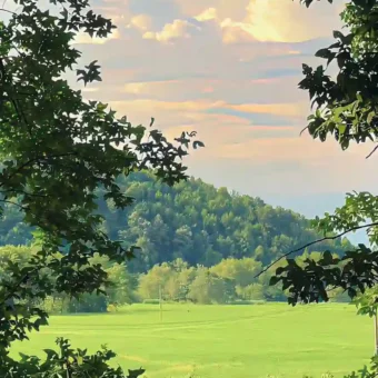 壁纸 ​​​​​​​​​​​​​| ios全屏手机壁纸