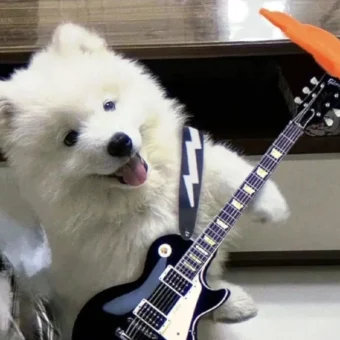 头像 | 低像素𝗪𝗲𝗖𝗵𝗮𝘁狗狗头像