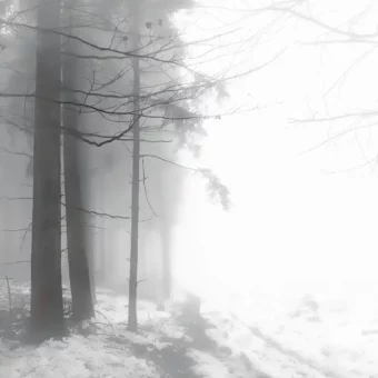 背景图 | 𝑾𝒆𝑪𝒉𝒂𝒕背景图