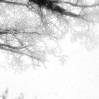 背景图 | 𝑾𝒆𝑪𝒉𝒂𝒕背景图