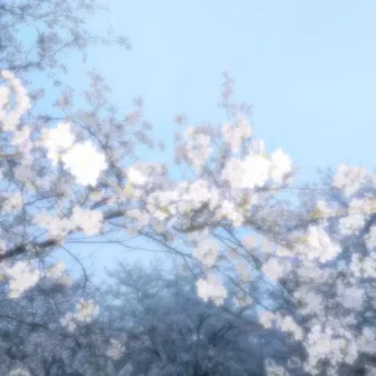 背景图 | 𝑾𝒆𝑪𝒉𝒂𝒕背景图