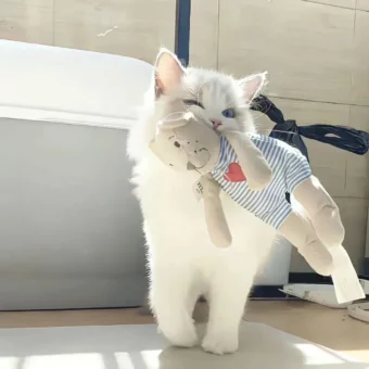 背景图 | 𝑾𝒆𝑪𝒉𝒂𝒕背景图