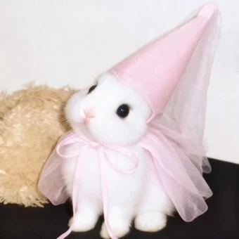 头像｜可以永久不换的微信头像