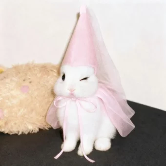 头像｜可以永久不换的微信头像