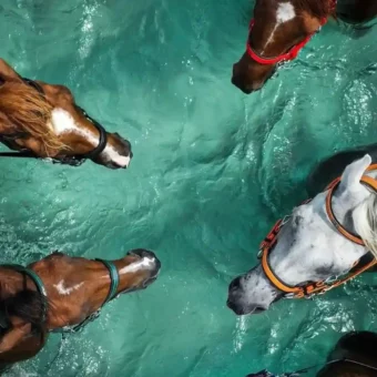 背景图 | 𝑾𝒆𝑪𝒉𝒂𝒕背景图