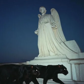 背景图 | 𝑾𝒆𝑪𝒉𝒂𝒕背景图