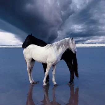 背景图 | 𝑾𝒆𝑪𝒉𝒂𝒕背景图