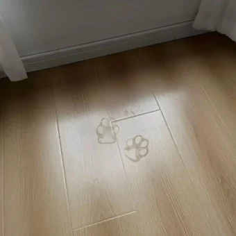 背景图 | 𝑾𝒆𝑪𝒉𝒂𝒕背景图