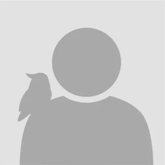 头像 | 人机初始头像