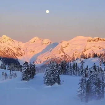 壁纸｜雪景壁纸