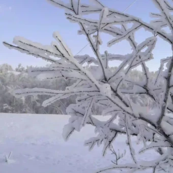 壁纸｜雪景壁纸