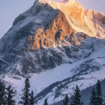 壁纸｜雪景壁纸