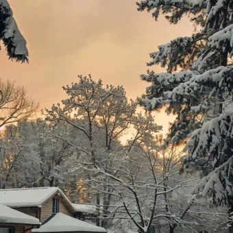壁纸｜雪景壁纸