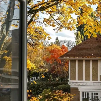 壁纸 ​​​​​​​​​​​​​| 4K全面屏超高清壁纸