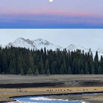 背景图 | 𝑾𝒆𝑪𝒉𝒂𝒕背景图